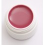 Gel UV Amelie color Sugar Beet 5ml  + 1 Cutie cu paiete Holografice Cadou